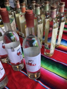 メキシコ大使館のメスカル試飲セミナー